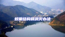蟻巢結構和消滅辦法