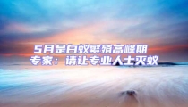 5月是白蟻繁殖高峰期 專家：請讓專業(yè)人士滅蟻