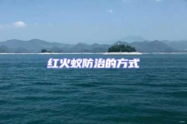紅火蟻防治的方式