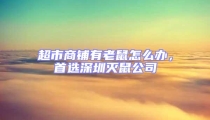 超市商鋪有老鼠怎么辦，首選深圳滅鼠公司