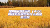 深圳白蟻防治所(中心)調研滅白蟻后為什么還是會出現