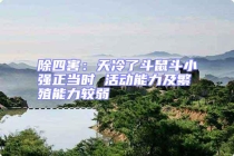 除四害：天冷了斗鼠斗小強(qiáng)正當(dāng)時(shí) 活動(dòng)能力及繁殖能力較弱