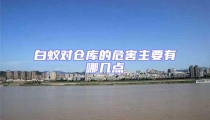 白蟻對(duì)倉(cāng)庫(kù)的危害主要有哪幾點(diǎn)