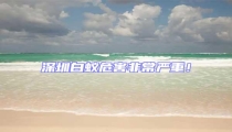 深圳白蟻危害非常嚴重!