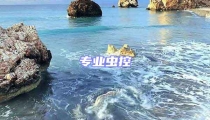 專業蟲控