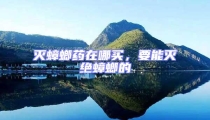 滅蟑螂藥在哪買,要能滅絕蟑螂的