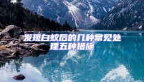 發(fā)現(xiàn)白蟻后的幾種常見處理五種措施
