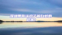 深圳帶你認(rèn)識了解白蟻的危害!