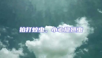 拍打蚊蟲,小心隱翅蟲