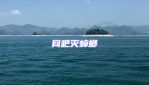 網吧滅蟑螂