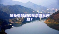 修補老鼠洞應注意哪些問題?