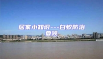 居家小知識(shí)---白蟻防治要領(lǐng)