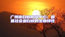 廣州市白蟻防治中心:群體社會是白蟻的生物特性