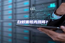 白蟻害怕光線嗎？