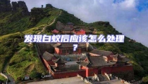 發(fā)現(xiàn)白蟻后應(yīng)該怎么處理?
