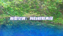 新型空調(diào):向白蟻取真經(jīng)