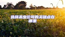 選擇殺蟲(chóng)公司的關(guān)鍵點(diǎn)在哪里