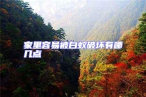 家里容易被白蟻破壞有哪幾點(diǎn)