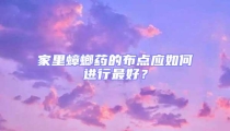 家里蟑螂藥的布點應(yīng)如何進(jìn)行最好?