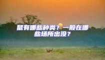 鼠有哪些種類?一般在哪些場所出沒?