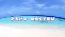 滅蟲(chóng)公司,遠(yuǎn)離蟲(chóng)子困擾