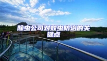 除蟲公司對蚊蟲防治的關(guān)鍵點