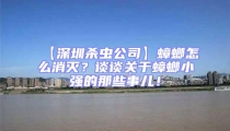 【深圳殺蟲公司】蟑螂怎么消滅?談談關于蟑螂小強的那些事兒!