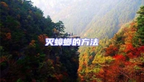 滅蟑螂的方法