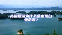 高層建筑為什么會出現白蟻危害?