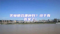 滅蟑螂藥哪種好?終于有答案了!