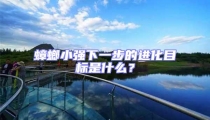 蟑螂小強(qiáng)下一步的進(jìn)化目標(biāo)是什么?