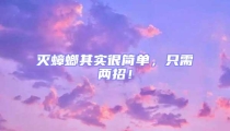 滅蟑螂其實很簡單,只需兩招!