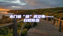 木門被“啃”成空殼——白蟻防治