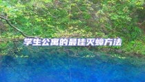 學生公寓的最佳滅蟑方法