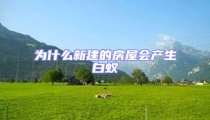 為什么新建的房屋會產生白蟻