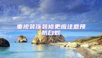 重視裝飾裝修更應注意預防白蟻