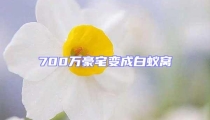 700萬(wàn)豪宅變成白蟻窩