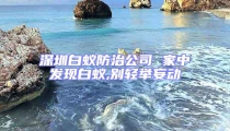 深圳白蟻防治公司 家中發現白蟻,別輕舉妄動