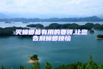 滅蟑螂最有用的要領,讓您告別蟑螂煩惱