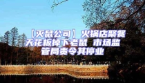 【滅鼠公司】火鍋店聚餐天花板掉下老鼠 市場監管局責令其停業