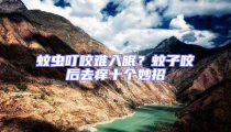 蚊蟲叮咬難入眠?蚊子咬后去癢十個妙招