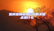 選擇深圳殺蟲公司的關鍵點是什么