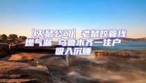 【滅鼠公司】老鼠咬管線燃?xì)饴?烏魯木齊一住戶吸入沉睡