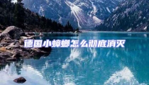 德國小蟑螂怎么徹底消滅