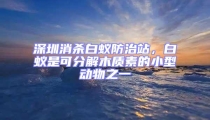 深圳消殺白蟻防治站，白蟻是可分解木質(zhì)素的小型動(dòng)物之一