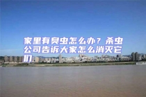 家里有臭蟲怎么辦？殺蟲公司告訴大家怎么消滅它們