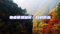 物業管理知識:白蟻防治