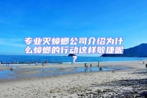 專業滅蟑螂公司介紹為什么蟑螂的行動這樣敏捷呢？