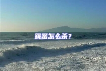 跳蚤怎么殺？