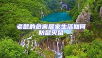 老鼠的危害居家生活如何防鼠滅鼠